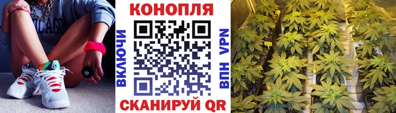 МЕФ Починок
