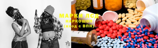 ПСИЛОЦИБИНОВЫЕ ГРИБЫ Аркадак